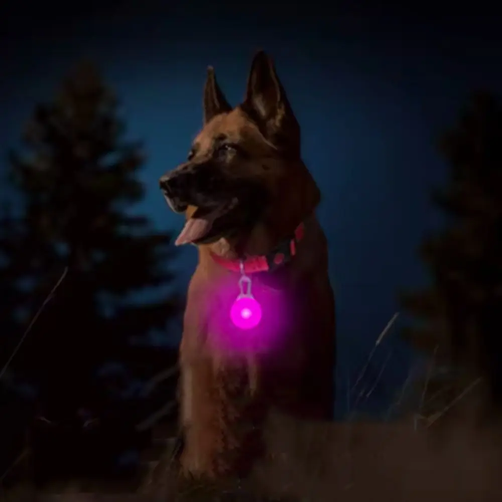 With Flashing Pendant Glowing Dog Collar Adjustable USB Luminous Safety Collar Detachable Loss Prevention LED Collar Night
With Flashing Pendant Glowing Dog Collar Adjustable USB Luminous Safety Collar Detachable Loss Prevention LED Collar Night