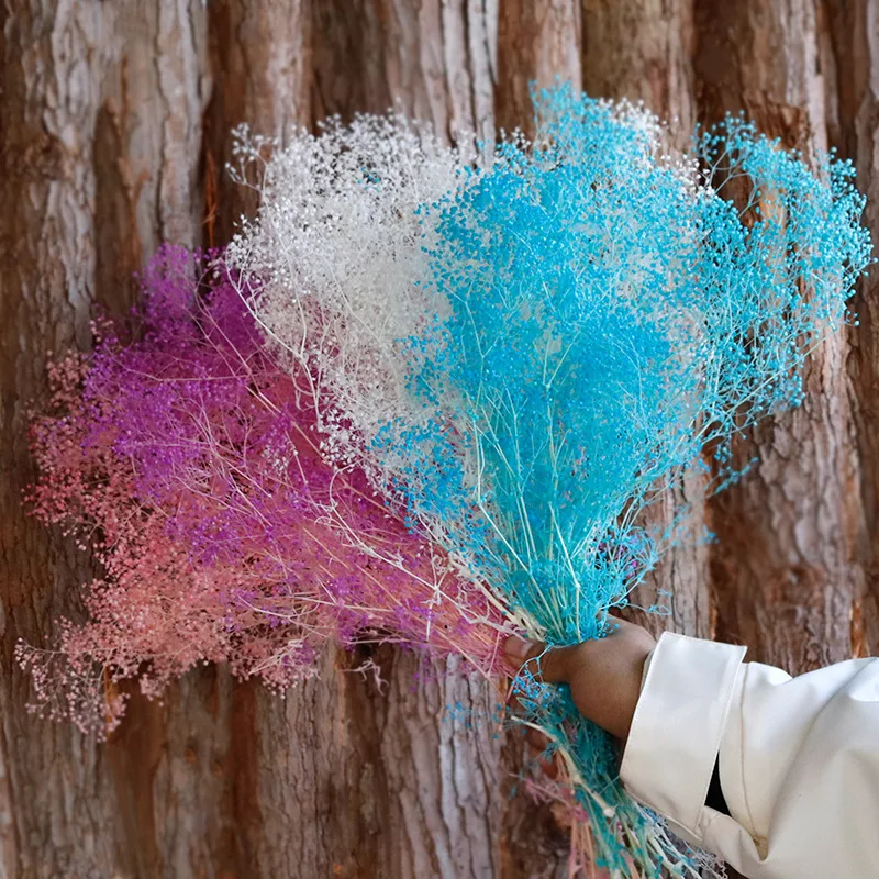 Preserved Baby's Breath Natrual Fresh Gypsophila Long Lasting Dried Flowers for Vase Arrangements Home Decoration Photo Props
Preserved Baby's Breath Natrual Fresh Gypsophila Long Lasting Dried Flowers for Vase Arrangements Home Decoration Photo Props