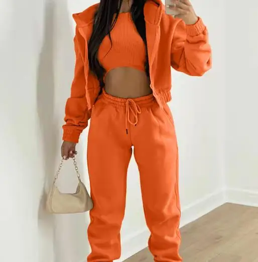 Autumn Winter Women's Three Piece Set Long Pants with Fleece Hooded Sweatshirt Sporty Fashionable and Casual Winter Outfit Set
Autumn Winter Women's Three Piece Set Long Pants with Fleece Hooded Sweatshirt Sporty Fashionable and Casual Winter Outfit Set