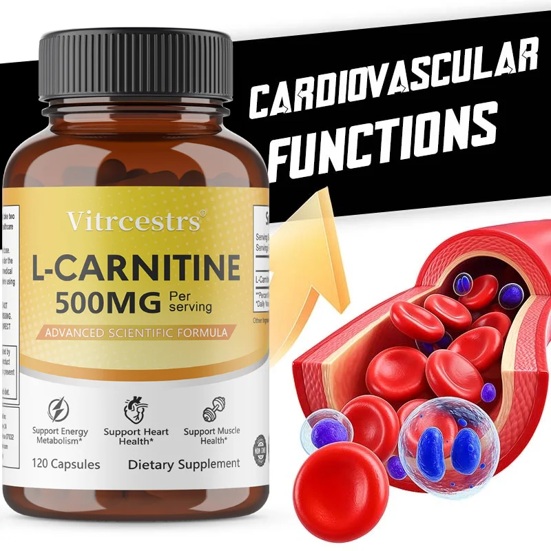 L-Carnitine Capsules, Cellular Energy Support, Metabolic & Sports Nutrition Supplement, Support Mental Focus & Physical Vitality
L-Carnitine Capsules, Cellular Energy Support, Metabolic & Sports Nutrition Supplement, Support Mental Focus & Physical Vitality