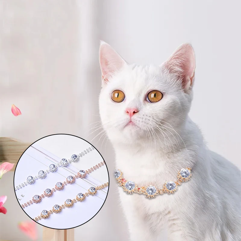 Fashion Shining Collars For Dog Bling Diamond Cat Necklace Gold Silver Adjustable Pet Collar Cats Puppy Chihuahua Accessories
Fashion Shining Collars For Dog Bling Diamond Cat Necklace Gold Silver Adjustable Pet Collar Cats Puppy Chihuahua Accessories