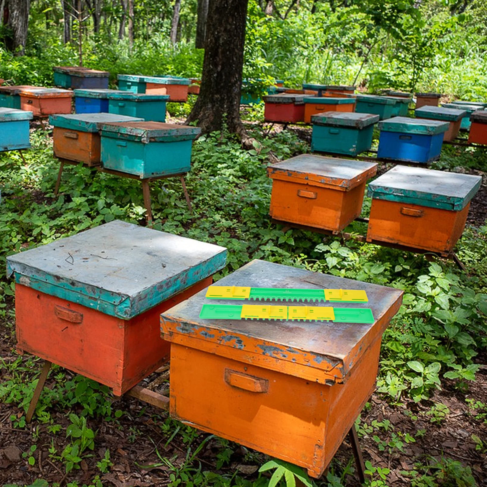 6Pcs Beekeeping Tools Bee Hive Entrance Reducer 37Cm Plastic Beehive Entrance Gate Ventilation Door Guard Escape Device Hive
6Pcs Beekeeping Tools Bee Hive Entrance Reducer 37Cm Plastic Beehive Entrance Gate Ventilation Door Guard Escape Device Hive