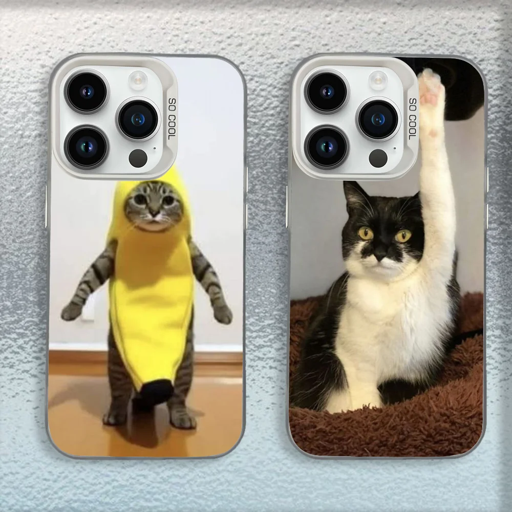 Cat Memes Phone Case For iPhone 16,15,14,13,12,11,Mini,Pro,SE,MAX White Matte Shockproof Cover
Cat Memes Phone Case For iPhone 16,15,14,13,12,11,Mini,Pro,SE,MAX White Matte Shockproof Cover