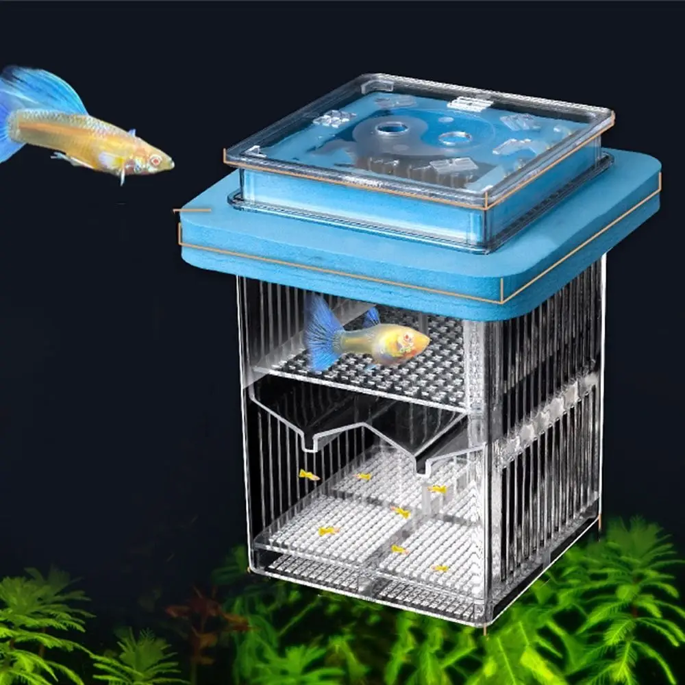 Transparent Guppy Breeder Box Permeable Prevent Escape Aquatic Life Hatchery Detachable Floating Hatching Box For Small Fish
Transparent Guppy Breeder Box Permeable Prevent Escape Aquatic Life Hatchery Detachable Floating Hatching Box For Small Fish