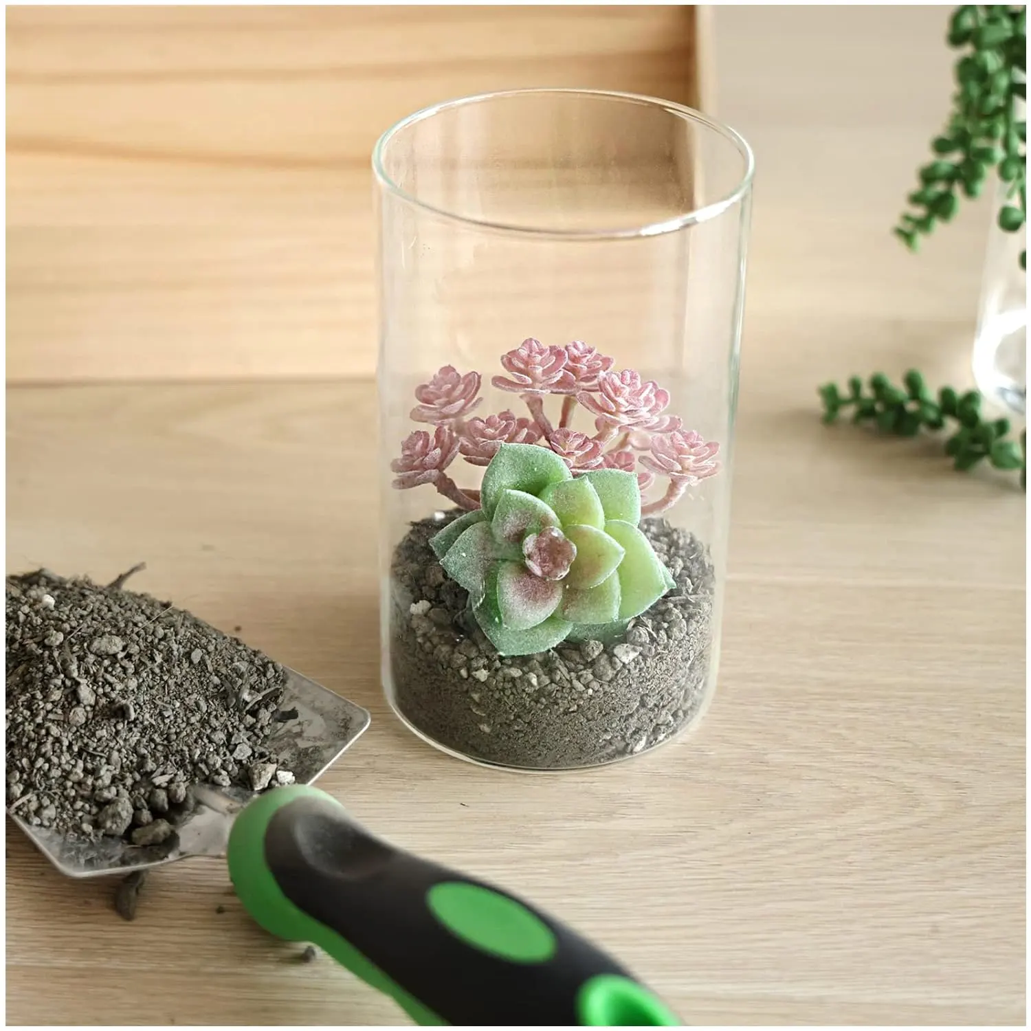 12 pcs glass cylinder vases – 6 inch tall clear floral vases for centerpieces, wedding table decor, shelf display, or candle hol
12 pcs glass cylinder vases – 6 inch tall clear floral vases for centerpieces, wedding table decor, shelf display, or candle hol