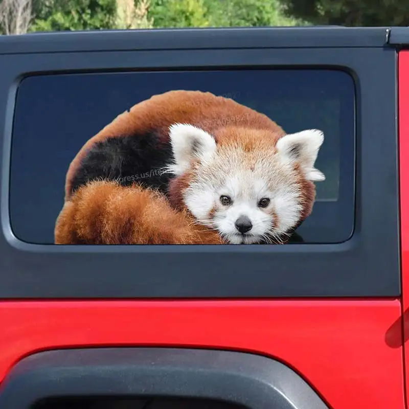 Red Panda pet Car Sticker Waterproof Vinyl Decal on Bumper Rear Window Laptop Self-adhesive Decal For Car Accessories SH166
Red Panda pet Car Sticker Waterproof Vinyl Decal on Bumper Rear Window Laptop Self-adhesive Decal For Car Accessories SH166