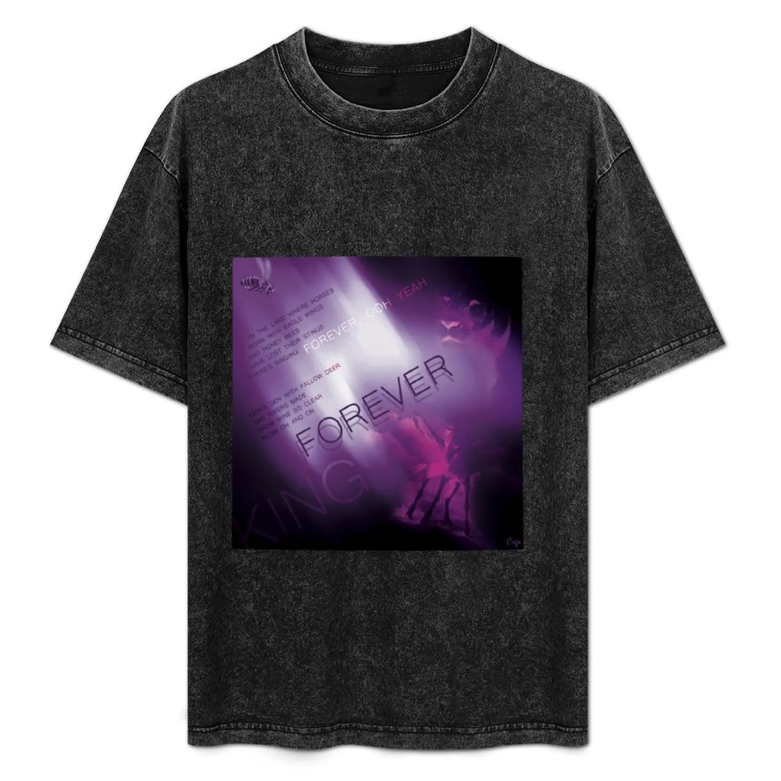 My Fairy King T-Shirt Classic Print Short Sleeve Shirt
My Fairy King T-Shirt Classic Print Short Sleeve Shirt