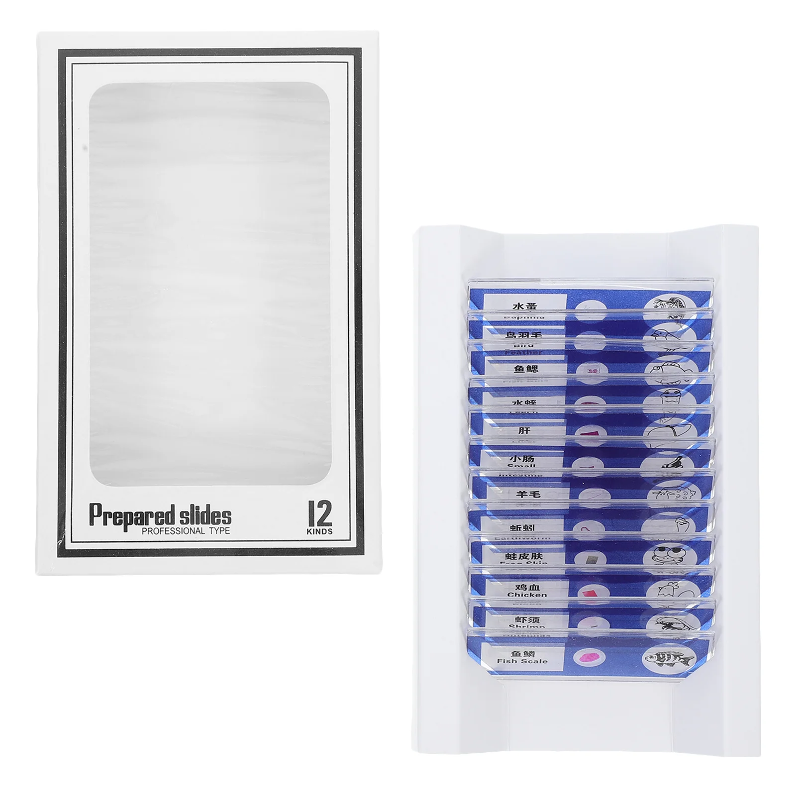 12Pcs Biology Microscope Slides Assorted Prepared Samples for School Laboratory Learning Cells Samples
12Pcs Biology Microscope Slides Assorted Prepared Samples for School Laboratory Learning Cells Samples