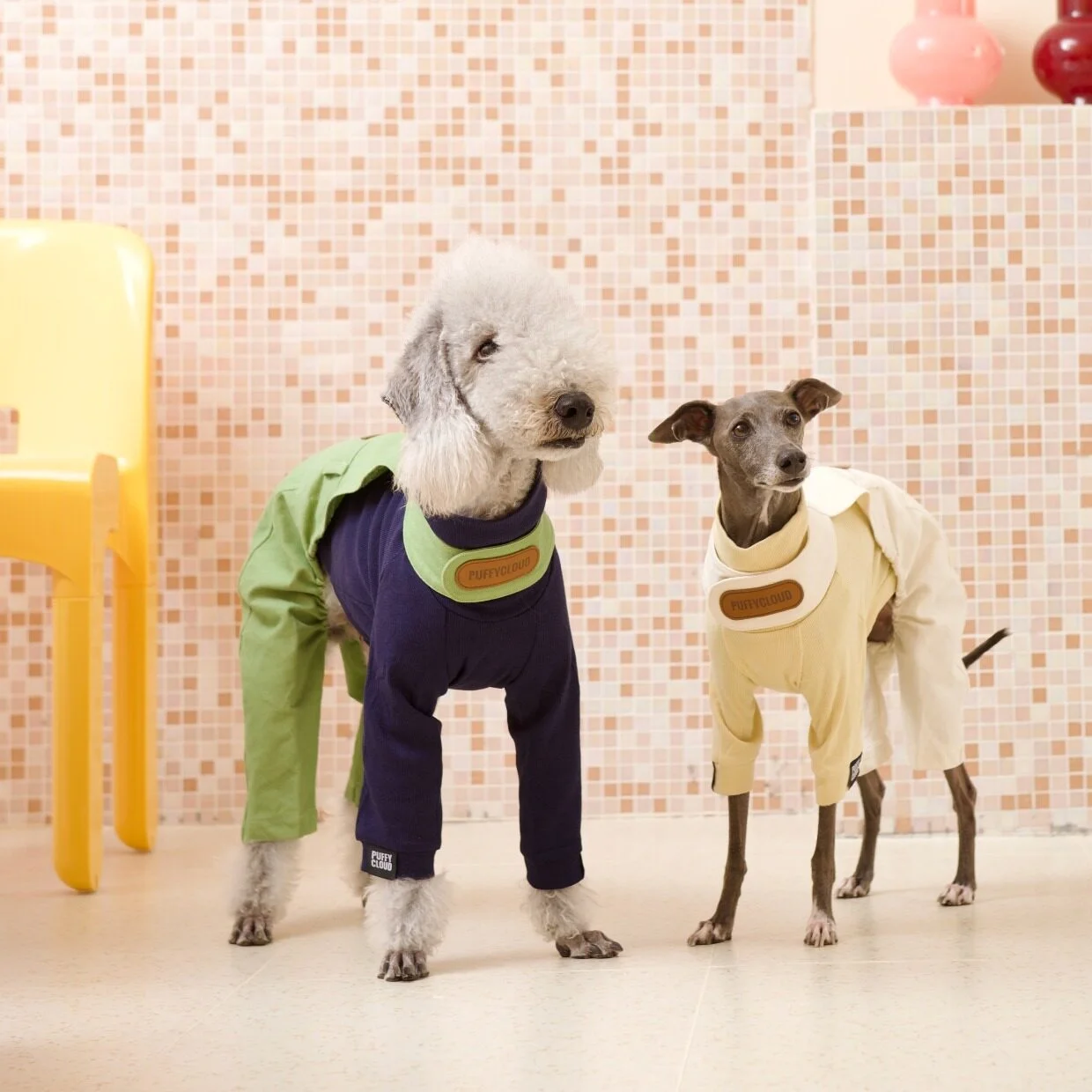 Long Sleeves Leisure Cotton T-shirt for Italian Greyhound Fashion Solid Color Overalls Suit for Bedlington Terrier in Spring
Long Sleeves Leisure Cotton T-shirt for Italian Greyhound Fashion Solid Color Overalls Suit for Bedlington Terrier in Spring