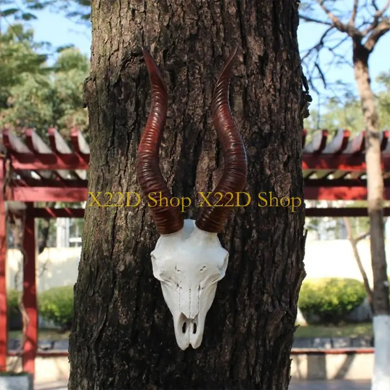 X22D Unique 3D Animal Craft Sculpture Resins Long Horn Bulls Head Wall Art Decors
X22D Unique 3D Animal Craft Sculpture Resins Long Horn Bulls Head Wall Art Decors