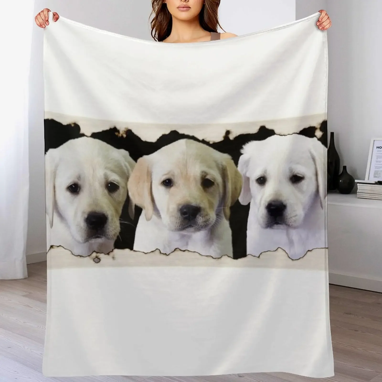 Three Little Labs Throw Blanket Summer Beddings Furry Moving Plaid on the sofa Blankets
Three Little Labs Throw Blanket Summer Beddings Furry Moving Plaid on the sofa Blankets