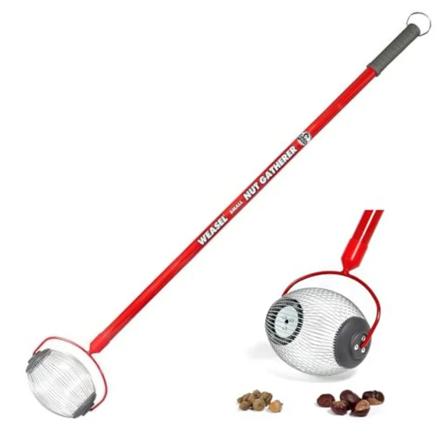 Nut Gatherer - Small Cage Pick Up Small Acorns Buckeyes Beech Nuts Nut Collector and Picker Upper Roller 95334
Nut Gatherer - Small Cage Pick Up Small Acorns Buckeyes Beech Nuts Nut Collector and Picker Upper Roller 95334