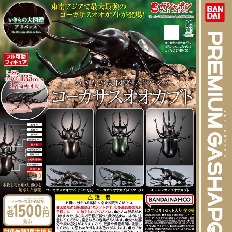 Bandai Realistic Beetle Model Simulation Insect Figure Collectible Desktop Ornament For Entomology Enthusiasts Adult Collectors
Bandai Realistic Beetle Model Simulation Insect Figure Collectible Desktop Ornament For Entomology Enthusiasts Adult Collectors