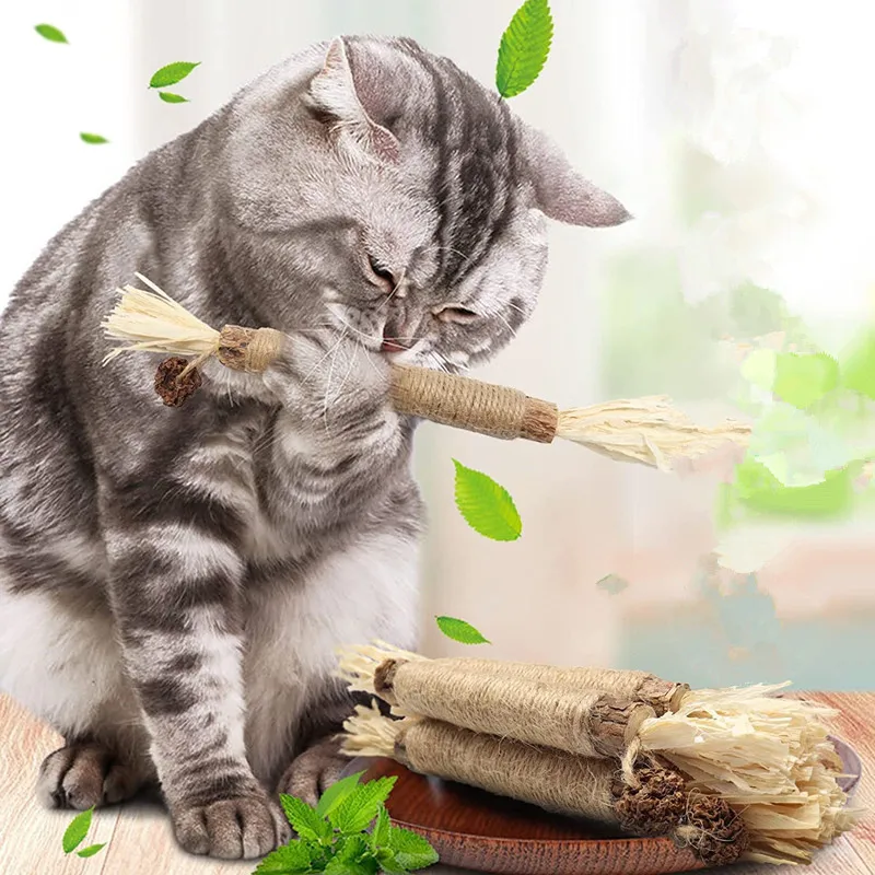 Catnip Teething Stick Toy Natural Catnip Cats Teaser Stick Toys Tooth Cleaning Sticks for Kittens Adults Pet Cat Accessories
Catnip Teething Stick Toy Natural Catnip Cats Teaser Stick Toys Tooth Cleaning Sticks for Kittens Adults Pet Cat Accessories