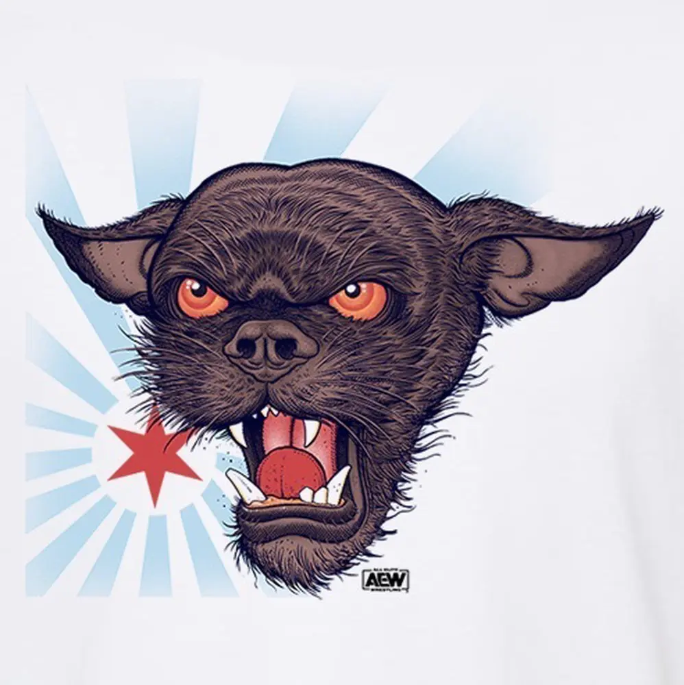 2025 HOT SALE T SHIRTS CM Punk Wrestling Sports TEE Famous Wrestler FANS man clothes Streetwear
2025 HOT SALE T SHIRTS CM Punk Wrestling Sports TEE Famous Wrestler FANS man clothes Streetwear