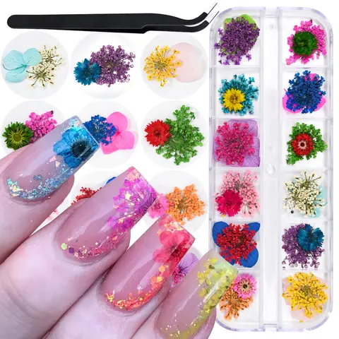 12Grids+Tweezer Natural Dried Flowers Sticker Nail Charms 3D Summer Real Natural Dry Floral for Nail Art Craft DIY Manicure Deco