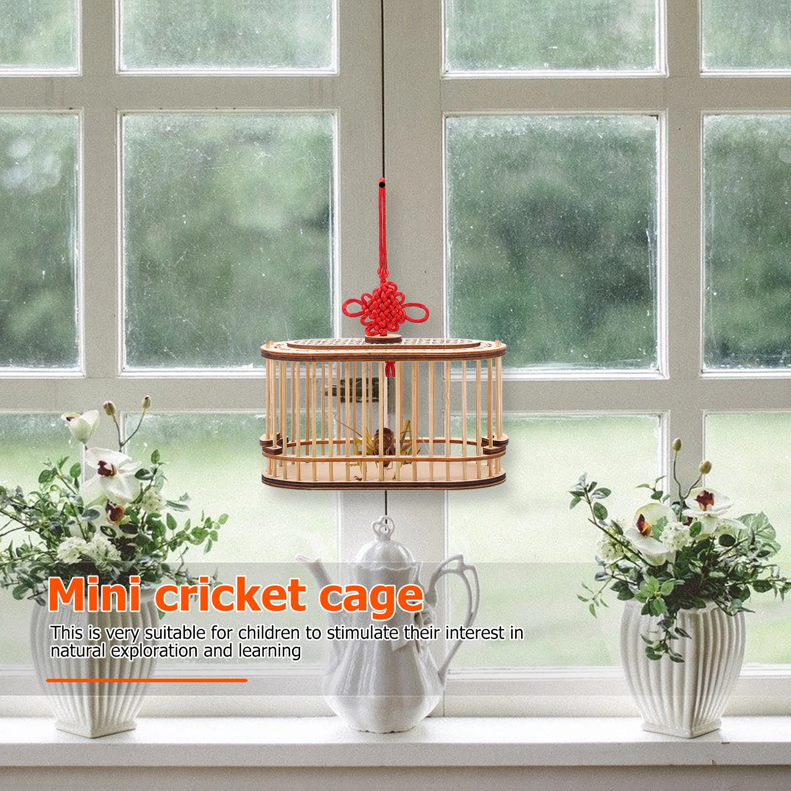 Grasshopper Cage Wooden Cricket Box Mini Insect Habitat For Outdoor Portable Storage Basket Small Cage Natural Exploration
Grasshopper Cage Wooden Cricket Box Mini Insect Habitat For Outdoor Portable Storage Basket Small Cage Natural Exploration