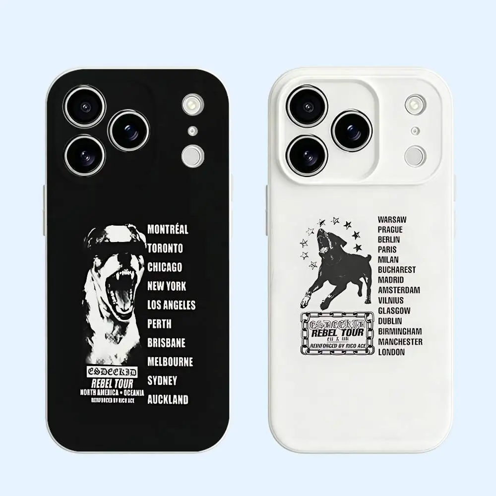 E-EsDeeKids Rebel Tour Black Soft TPU Phone Case For iPhone Models Shockproof Anti-Scratch Protective Cover
E-EsDeeKids Rebel Tour Black Soft TPU Phone Case For iPhone Models Shockproof Anti-Scratch Protective Cover