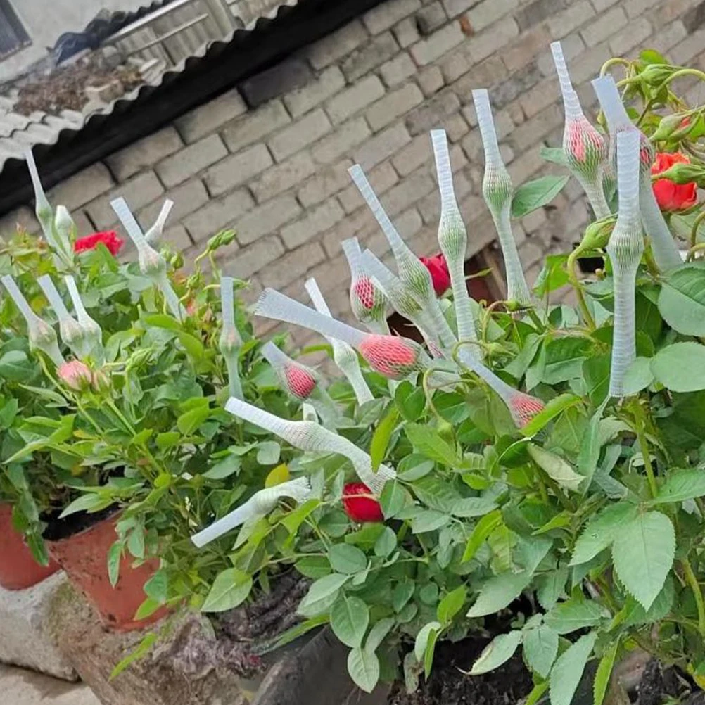 100pcs 10cm Long Flower Bud Protective Cover Plant Garden Netting Mesh Scratch Proof Anti Wear for Plants Greenhouse Use
100pcs 10cm Long Flower Bud Protective Cover Plant Garden Netting Mesh Scratch Proof Anti Wear for Plants Greenhouse Use