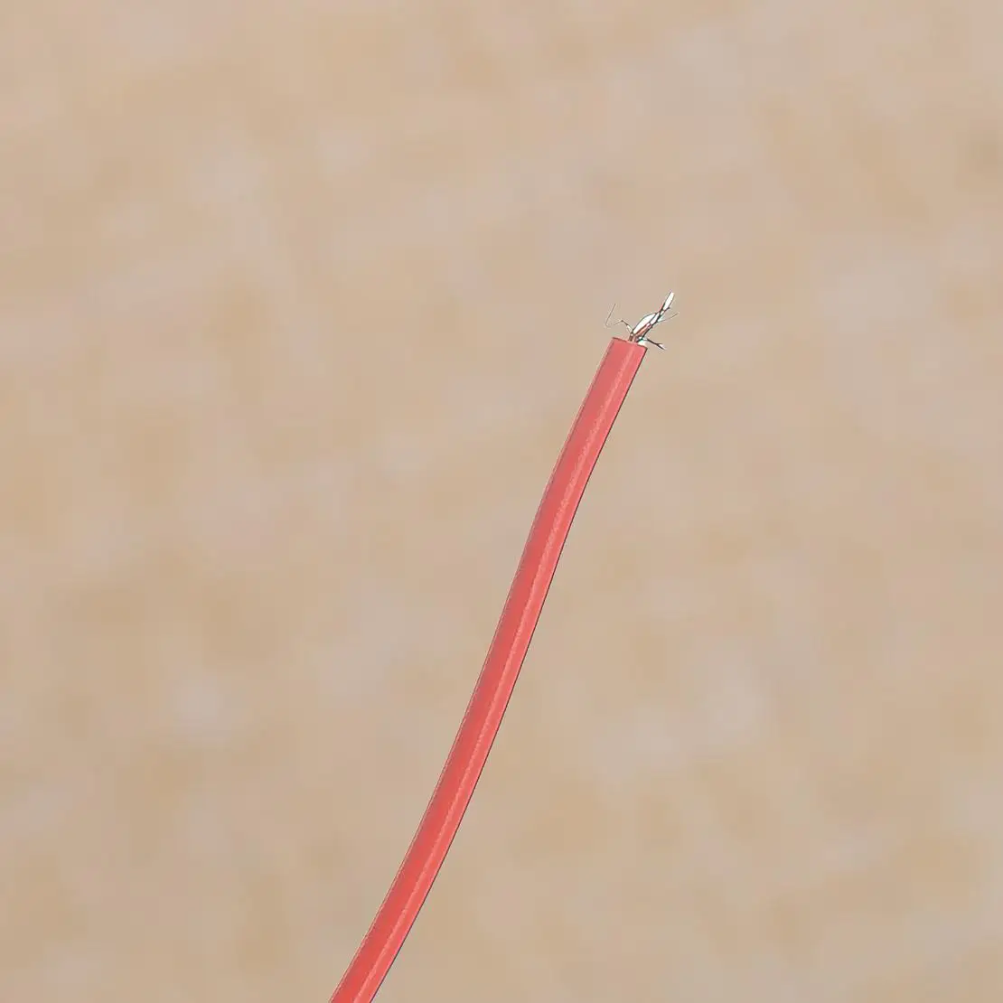 12 В 3 Вт IP67 Нержавеющий красный светодиодный задний габаритный ID габаритный фонарь, подходящий для грузового прицепа, пикапа, лодки, задний фонарь
12 В 3 Вт IP67 Нержавеющий красный светодиодный задний габаритный ID габаритный фонарь, подходящий для грузового прицепа, пикапа, лодки, задний фонарь