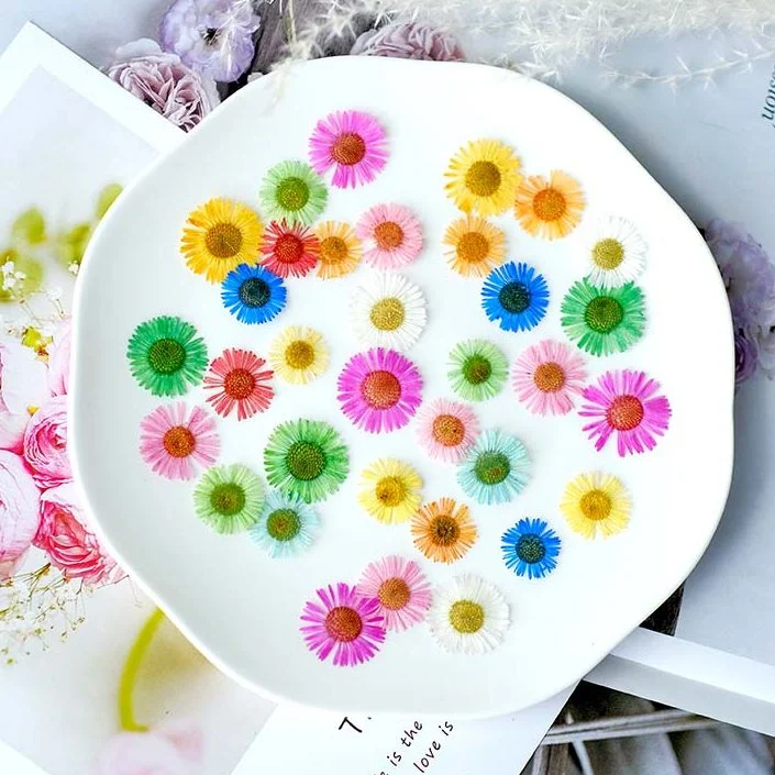 60Pcs Plant Teaching Specimens Pressed Flowers Frame Materials Specimen Dyed Flowers Mixed Chrysanthemum Resin Dried Flowers Phone Case
60Pcs Plant Teaching Specimens Pressed Flowers Frame Materials Specimen Dyed Flowers Mixed Chrysanthemum Resin Dried Flowers Phone Case