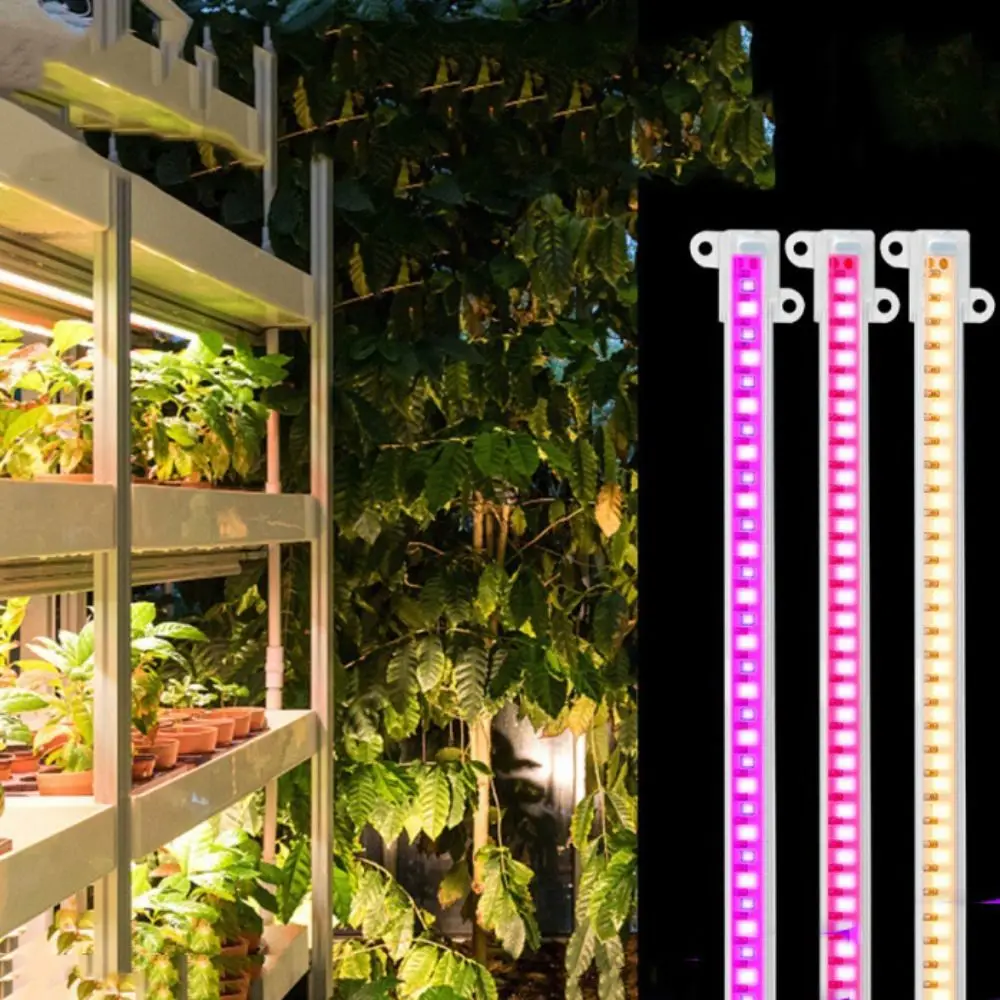 Grow Seedlings Full Spectrum Grow Tent Prevent Overgrowth Phyto Lamp Grow Light Plant Light Plant Growth Lamp Cabinet Lamp
Grow Seedlings Full Spectrum Grow Tent Prevent Overgrowth Phyto Lamp Grow Light Plant Light Plant Growth Lamp Cabinet Lamp