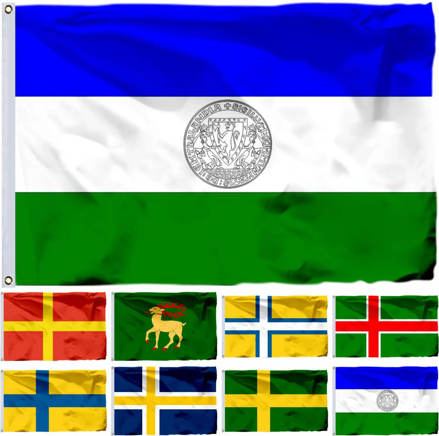 Шведский Unofficial Jamtland Flag Ostergotland 3x5 футов Oland of smaarland 90x150 см, Западная фотография
Шведский Unofficial Jamtland Flag Ostergotland 3x5 футов Oland of smaarland 90x150 см, Западная фотография
