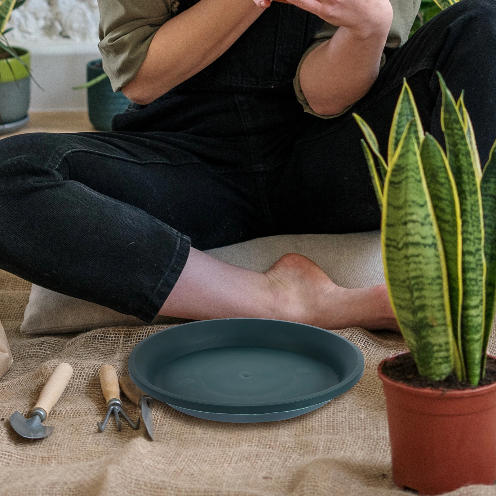 5 Pcs Saucers for Potted Plants Pots Potting Tray Succulent Waterproof Plastic Indoor
5 Pcs Saucers for Potted Plants Pots Potting Tray Succulent Waterproof Plastic Indoor