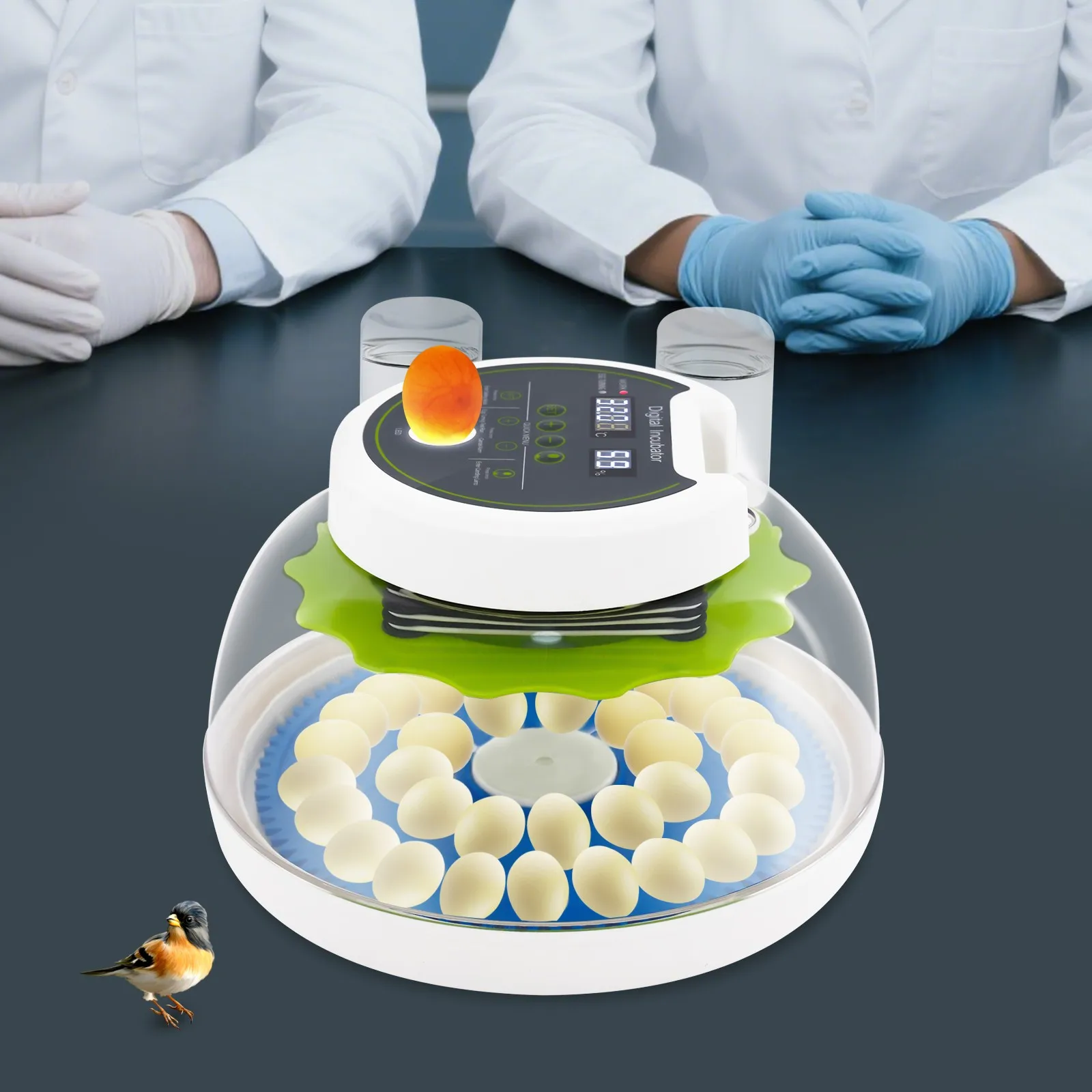 33 Egg Automatic Digital Quail Incubator w/ Auto Turn Waterer Dual Power US Plug
33 Egg Automatic Digital Quail Incubator w/ Auto Turn Waterer Dual Power US Plug