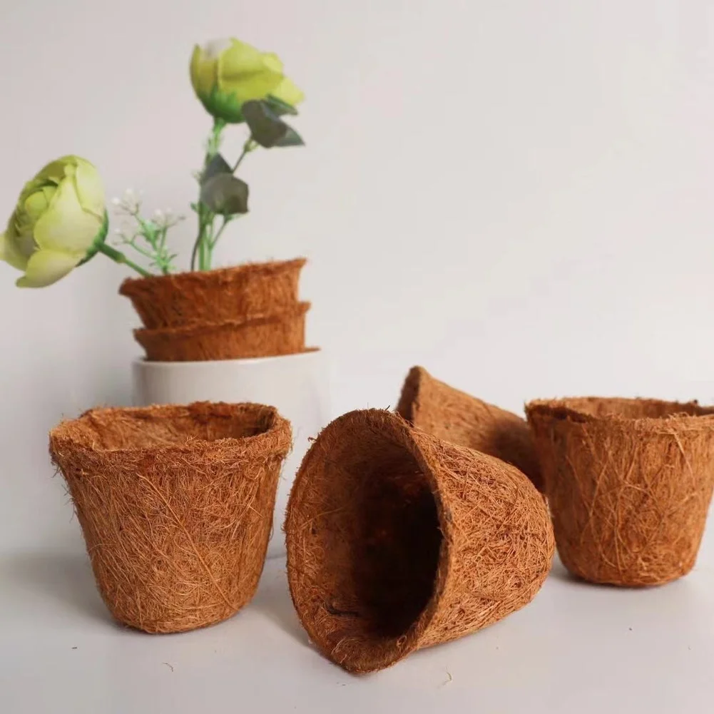 20PCS Biodegradable Planting Pots Made from Coconut Coir Designed Specifically for Blueberry Root Development and Drainage
20PCS Biodegradable Planting Pots Made from Coconut Coir Designed Specifically for Blueberry Root Development and Drainage