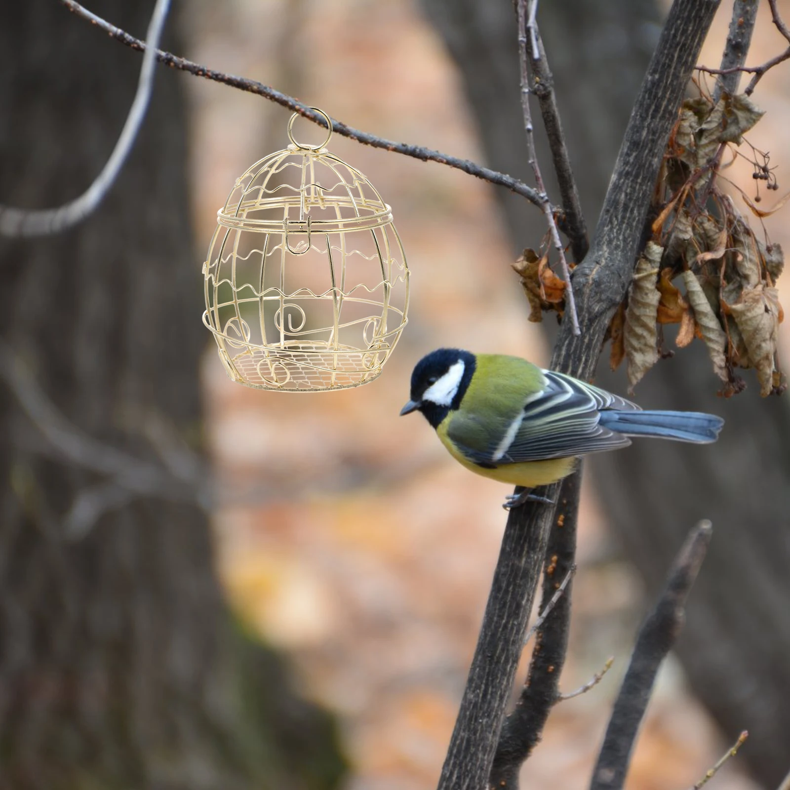 3pcs Hanging Bird Feeder Suet Balls Holder Outdoor Hollow Golden Durable Iron Wire Easy Clean Attract Birds Garden Balcony Yard
3pcs Hanging Bird Feeder Suet Balls Holder Outdoor Hollow Golden Durable Iron Wire Easy Clean Attract Birds Garden Balcony Yard