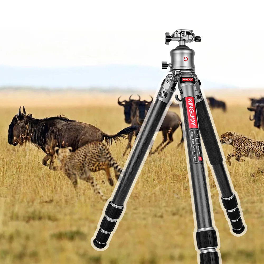 KINGJOY C83+B30 Professional Hunting Carbon Fiber Tripod 40mm Large Tube Large Tube Camera Tripod Hunting Tripod
KINGJOY C83+B30 Professional Hunting Carbon Fiber Tripod 40mm Large Tube Large Tube Camera Tripod Hunting Tripod