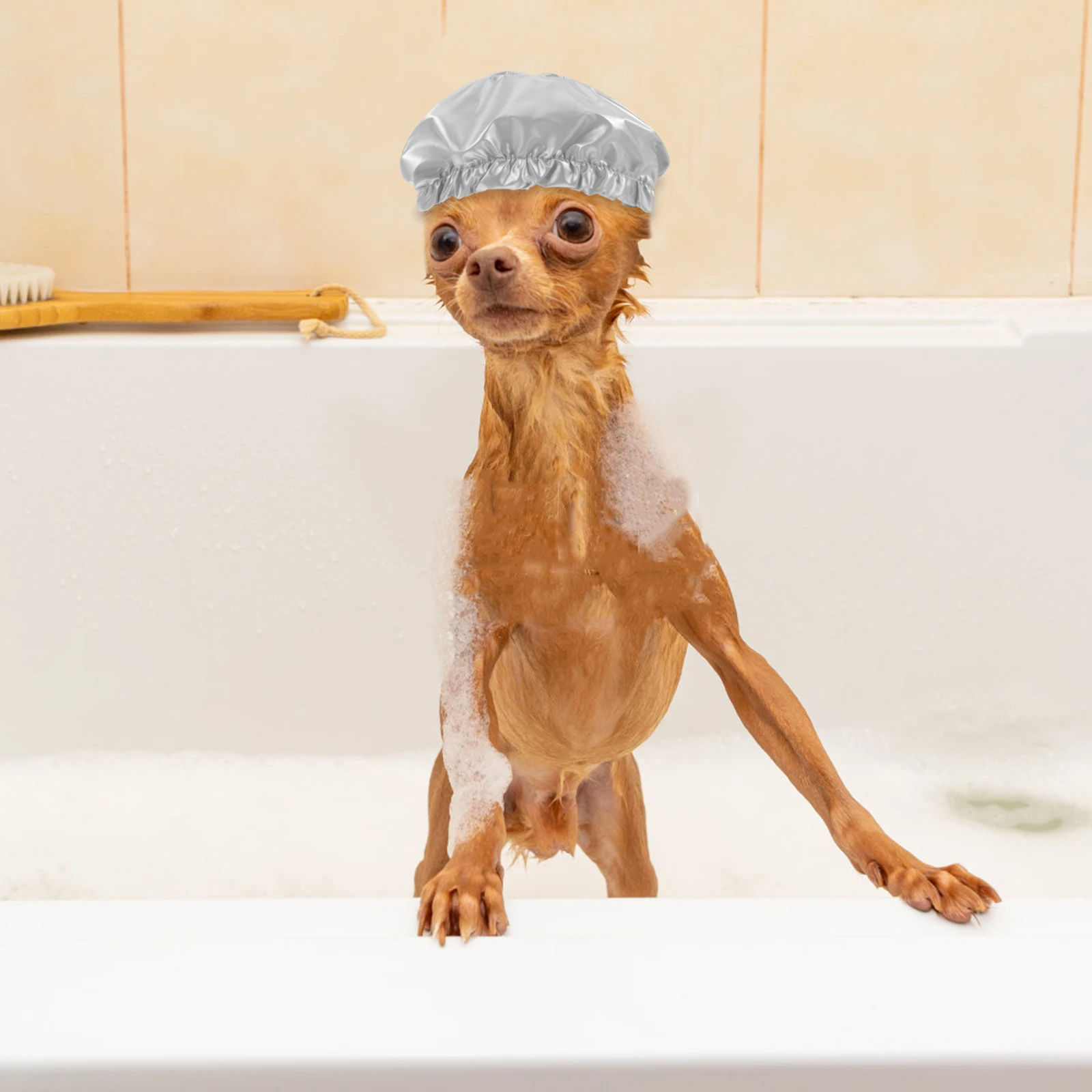 Waterproof Pet Hats for Cats Dogs EVA Material Adjustable Strap Protect Ears Bath Supplies Kitten Shower Caps Dog
Waterproof Pet Hats for Cats Dogs EVA Material Adjustable Strap Protect Ears Bath Supplies Kitten Shower Caps Dog