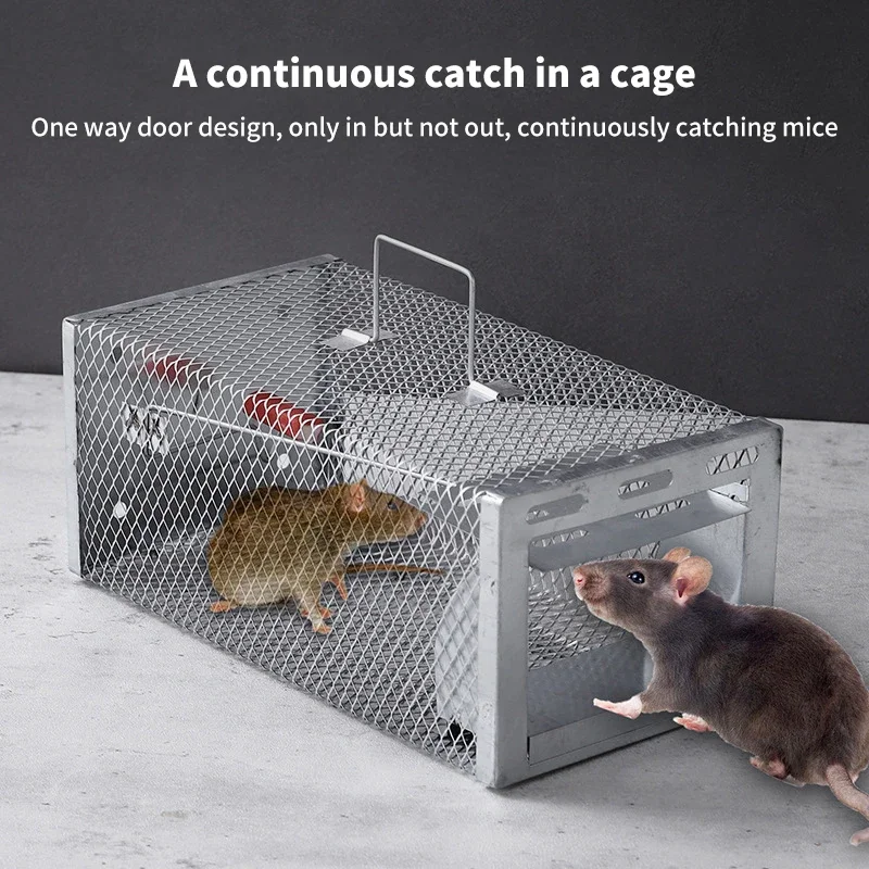 Reusable Humane Rat Trap Cage Mouse Cage Trap Wire Mesh Squirrel & Chipmunk & Rat Pest Catching Cage for Home Garden Warehouse
Reusable Humane Rat Trap Cage Mouse Cage Trap Wire Mesh Squirrel & Chipmunk & Rat Pest Catching Cage for Home Garden Warehouse