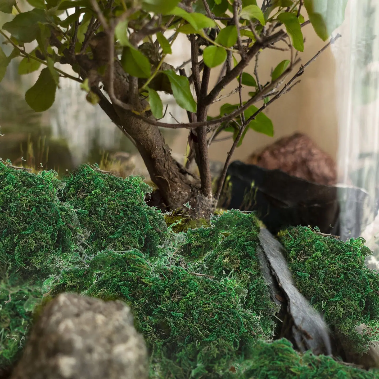 Artificial Plants Plastic Material Lifelike Look Mini Landscaping Scenery Model Natural Lawn Base Fake Faux Indoor House
Artificial Plants Plastic Material Lifelike Look Mini Landscaping Scenery Model Natural Lawn Base Fake Faux Indoor House