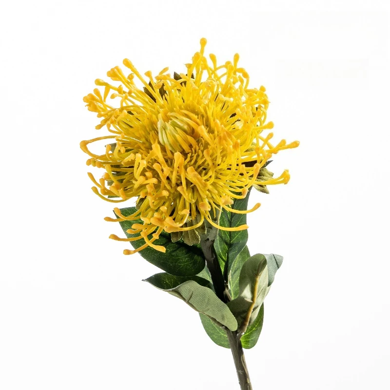 4pcs Artificial Flowers Plastic Green Needle Cushion Chrysanthemum Branch Plant Shopping Mall Decoration Simulation Flower
4pcs Artificial Flowers Plastic Green Needle Cushion Chrysanthemum Branch Plant Shopping Mall Decoration Simulation Flower