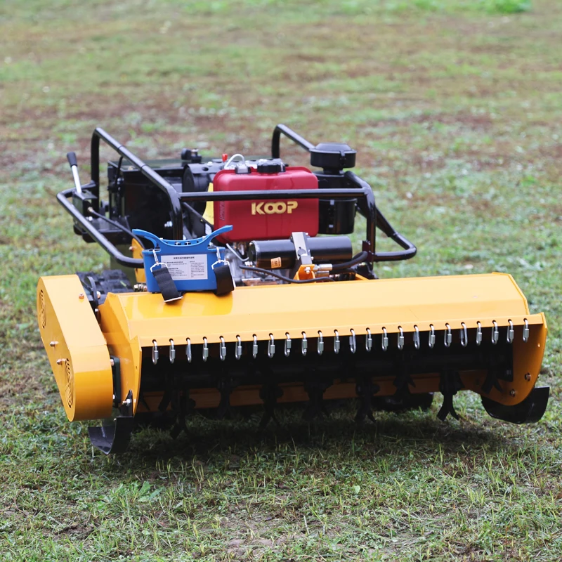 Customized Diesel/Gas Engine Small Robot Grass Cutter Cutting Width 800mm 1000mm RC Flail Mower For Agriculture And Forestry
Customized Diesel/Gas Engine Small Robot Grass Cutter Cutting Width 800mm 1000mm RC Flail Mower For Agriculture And Forestry