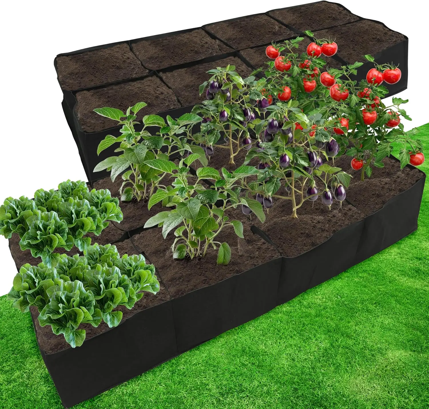 2 Pack Fabric Raised Garden Beds, 3x6x1 FT - 8 Grids Grow Bed for Square Foot Gardening, Planting Box for Vegetables, He
2 Pack Fabric Raised Garden Beds, 3x6x1 FT - 8 Grids Grow Bed for Square Foot Gardening, Planting Box for Vegetables, He