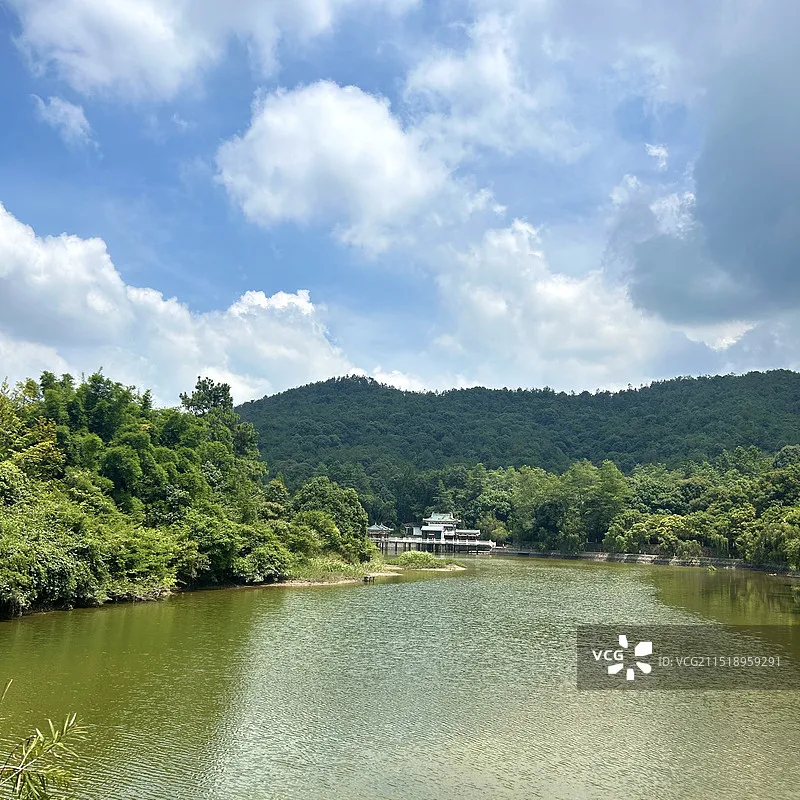 MJX 1:7 7303 Hyper GO Scale Brushless 7303 Rc Rally Car Remote Control High-Speed Off-Road Simulation Model Toy Gift
MJX 1:7 7303 Hyper GO Scale Brushless 7303 Rc Rally Car Remote Control High-Speed Off-Road Simulation Model Toy Gift