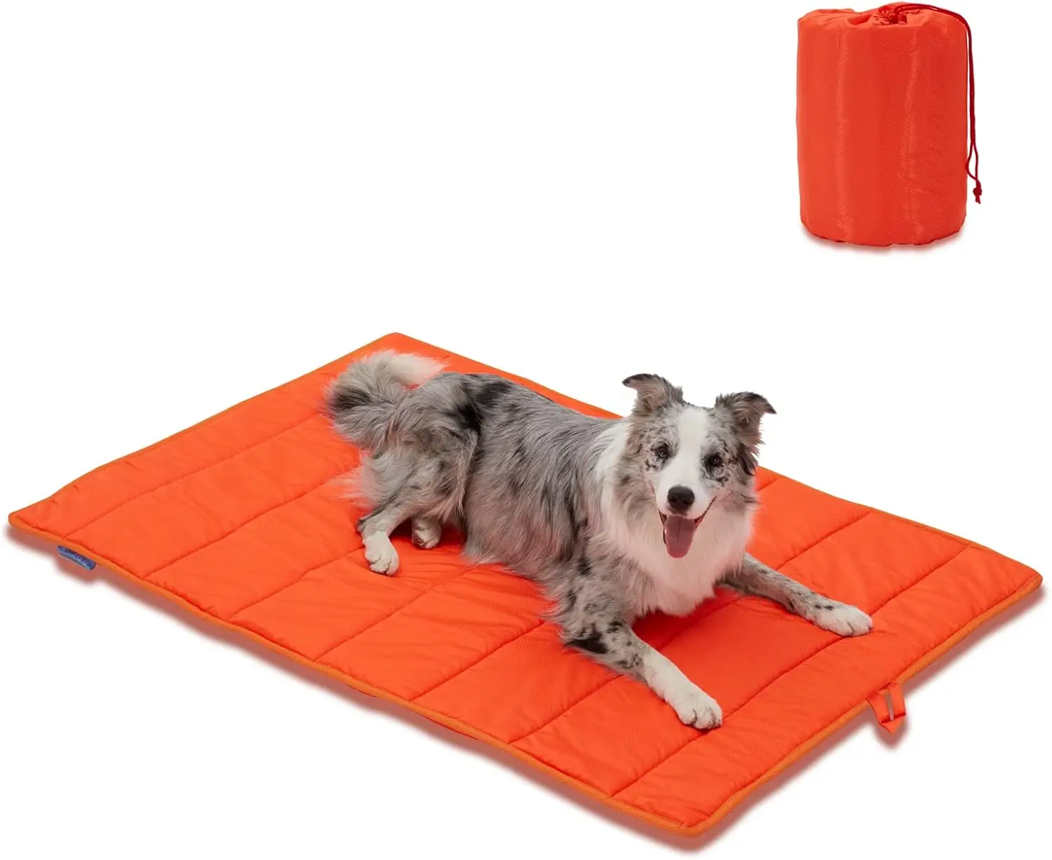 Portable Waterproof Dog Bed for Travel & Camping, Easy Clean, Odor Resistant, Large 43x25in Orange
Portable Waterproof Dog Bed for Travel & Camping, Easy Clean, Odor Resistant, Large 43x25in Orange