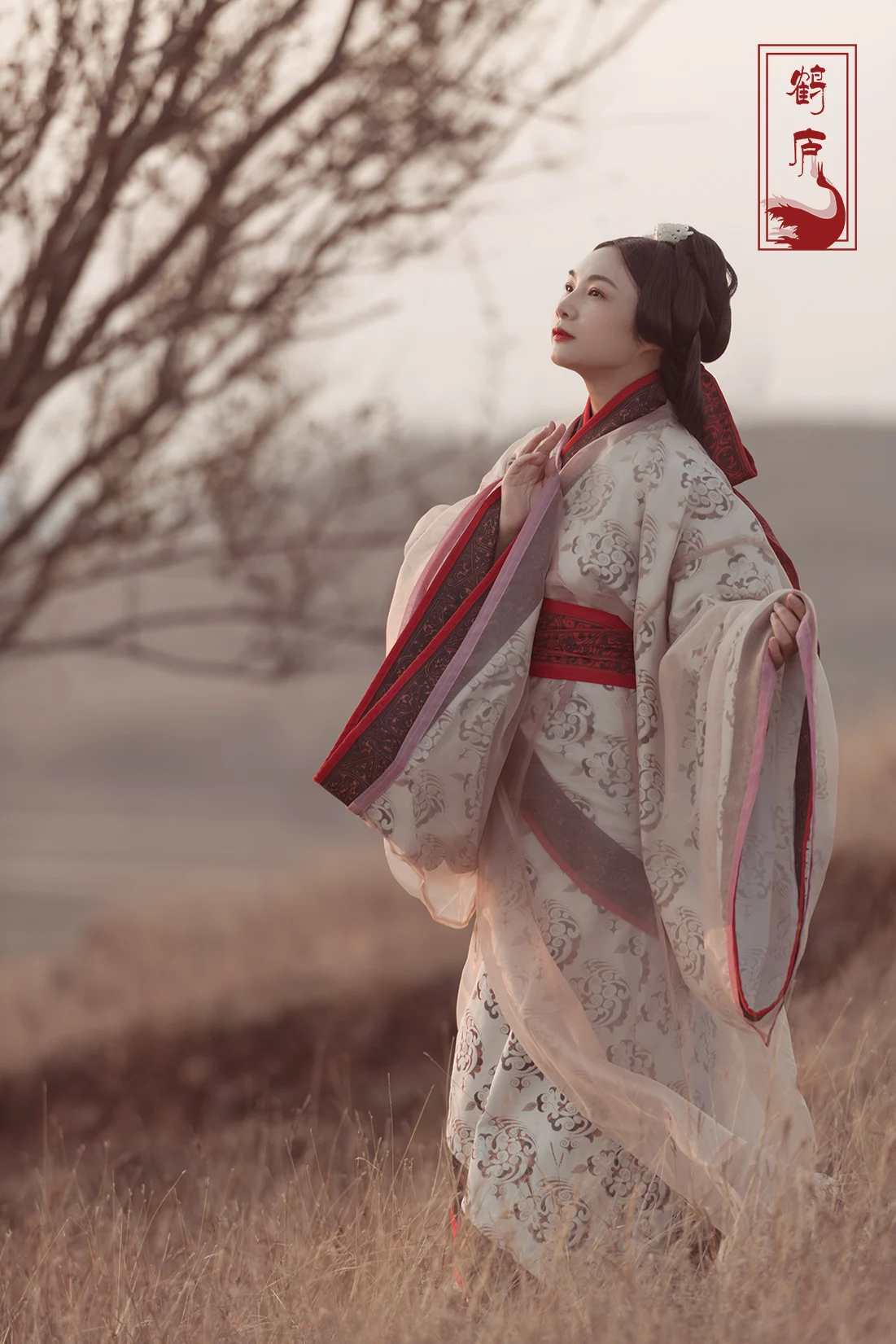 Традиционный китайский костюм Helu Hanfu Quba Dr Cotton, женская модная зимняя одежда, платье с узором в стиле ханьфу
Традиционный китайский костюм Helu Hanfu Quba Dr Cotton, женская модная зимняя одежда, платье с узором в стиле ханьфу