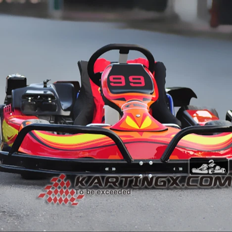 Racing Karting Outdoor Games Pedal Go Kart 168cc
Racing Karting Outdoor Games Pedal Go Kart 168cc