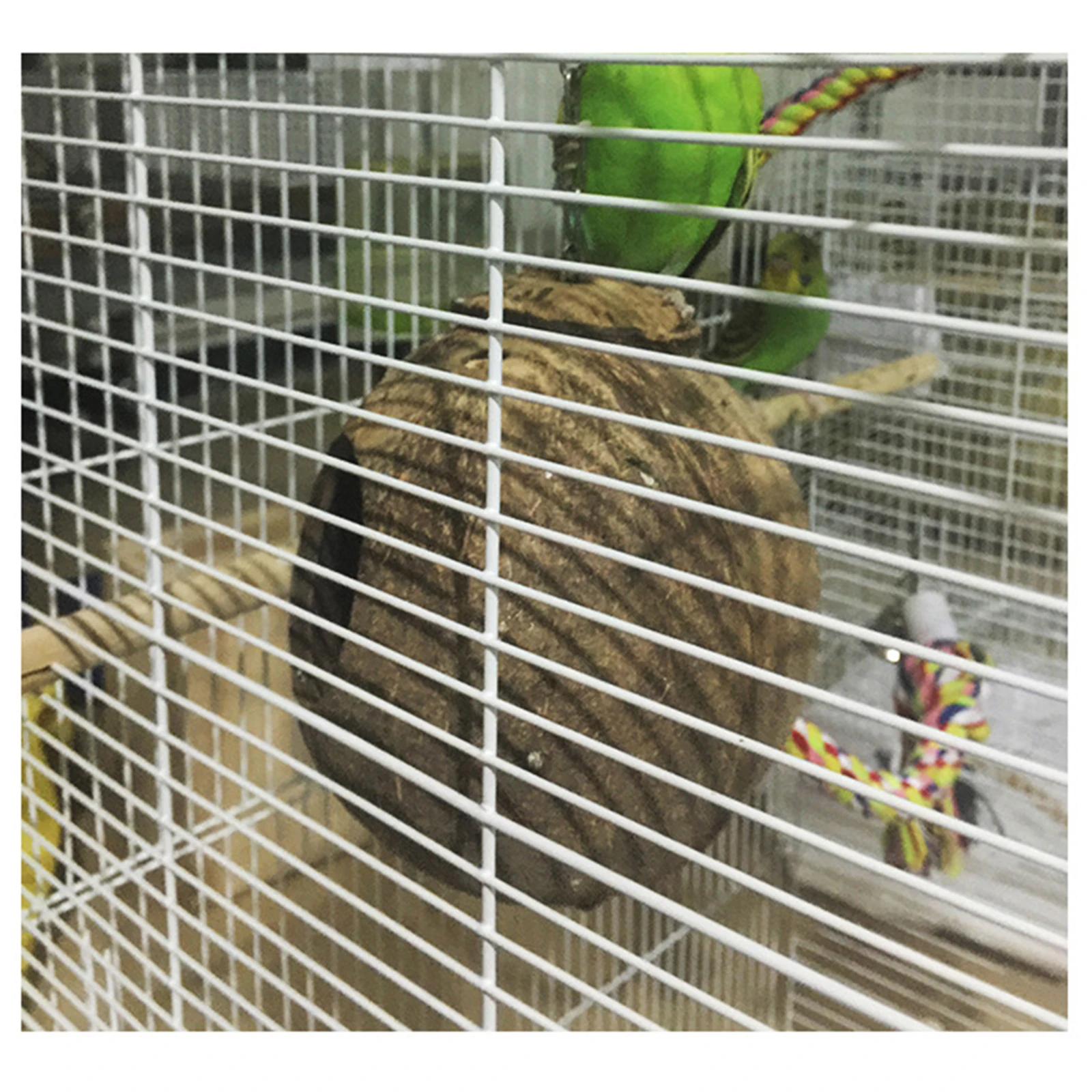bird nest coconut shell for parakeets nest for small pets bird coconut bird
bird nest coconut shell for parakeets nest for small pets bird coconut bird