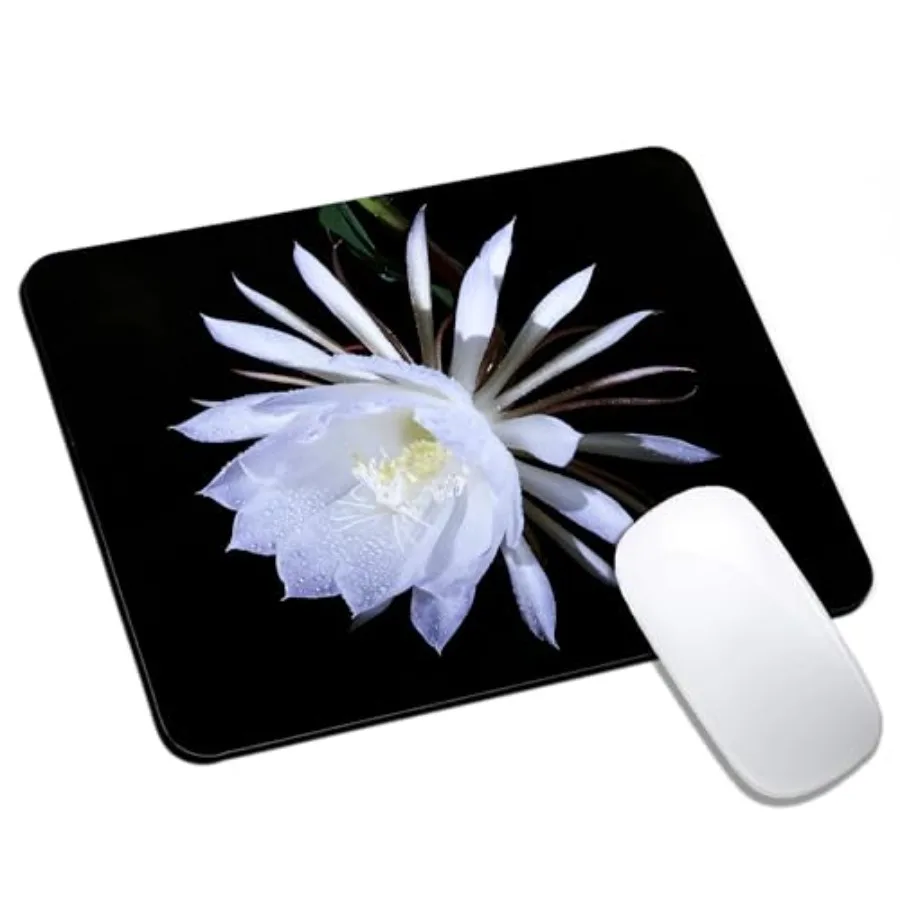 White Floral Mouse Pads for Desk, Portable Computer Mouse Pad Small Square Mousepad, Non-Slip Rubber Base Design for Office Des
White Floral Mouse Pads for Desk, Portable Computer Mouse Pad Small Square Mousepad, Non-Slip Rubber Base Design for Office Des