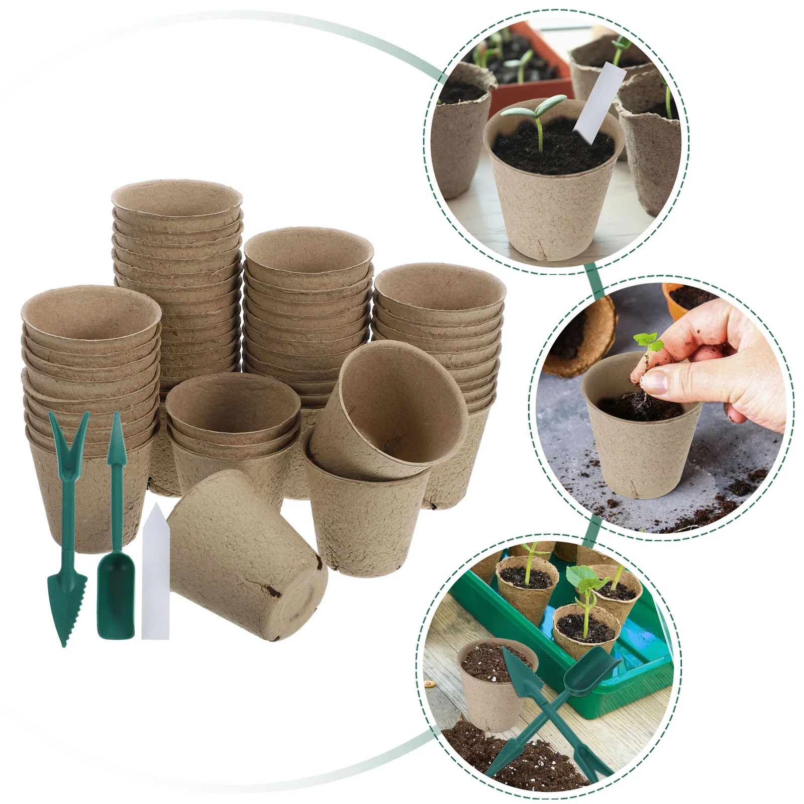 Plants Seedling Pot Garden Planting Pots Flower Outdoor Nursing Home 8 Cm Supply Planter for Paper
Plants Seedling Pot Garden Planting Pots Flower Outdoor Nursing Home 8 Cm Supply Planter for Paper