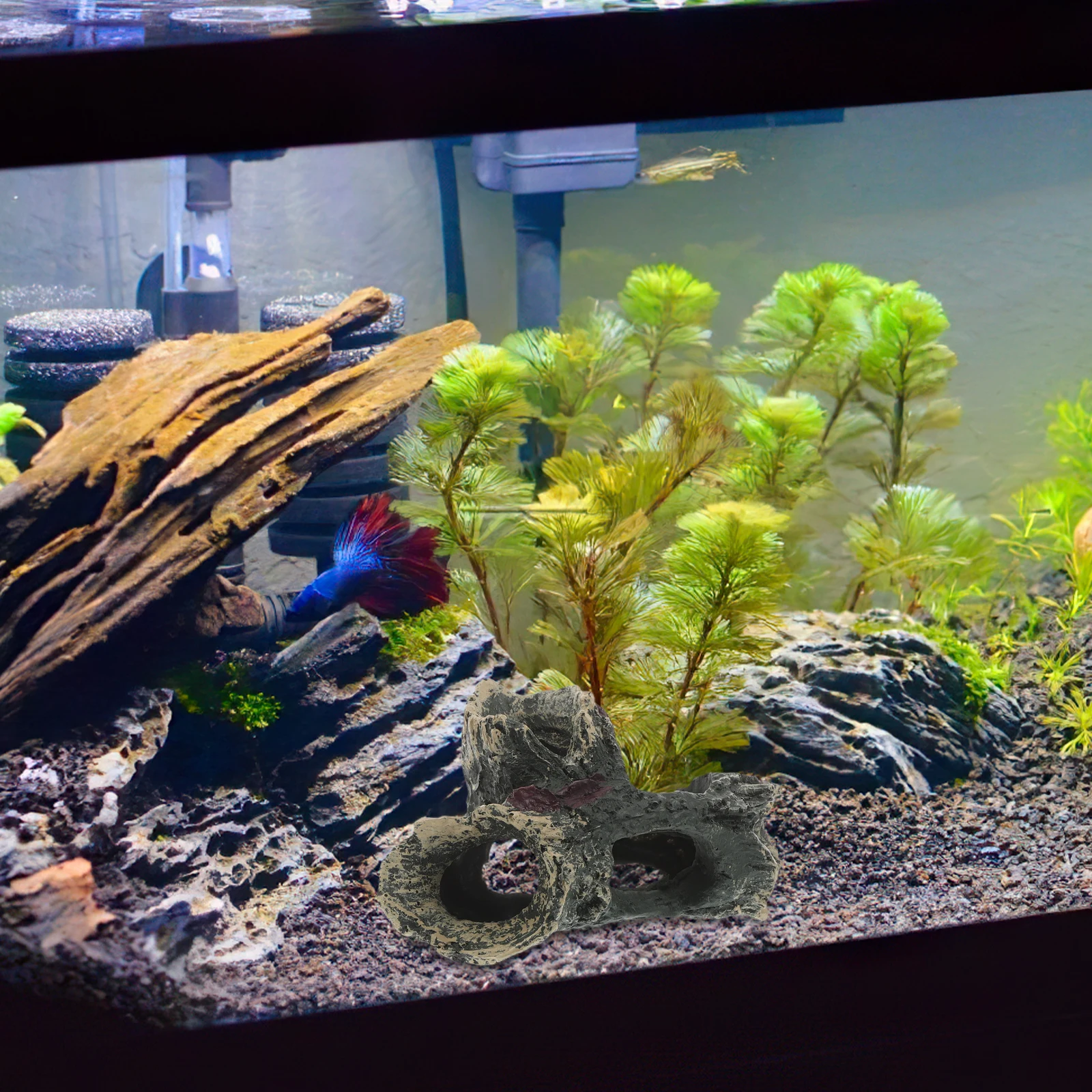 2Pcs Resin Sunken Wood Fish Tank Aquarium Decorations Hollow Tree Trunk Hideout Shrimp Accessories Lifelike Caves Durability Pet
2Pcs Resin Sunken Wood Fish Tank Aquarium Decorations Hollow Tree Trunk Hideout Shrimp Accessories Lifelike Caves Durability Pet