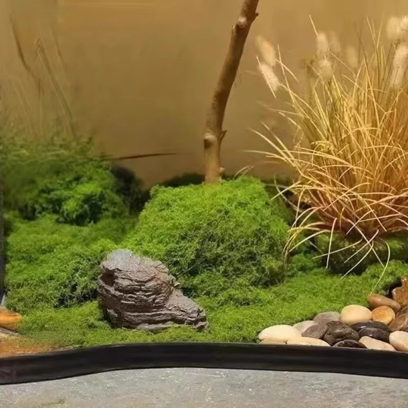 Artificial Green Plants Landscape Mini Eternal Life Moss Grass Fake Grass Garden Living Room Home Decoration DIY Crafts
Artificial Green Plants Landscape Mini Eternal Life Moss Grass Fake Grass Garden Living Room Home Decoration DIY Crafts