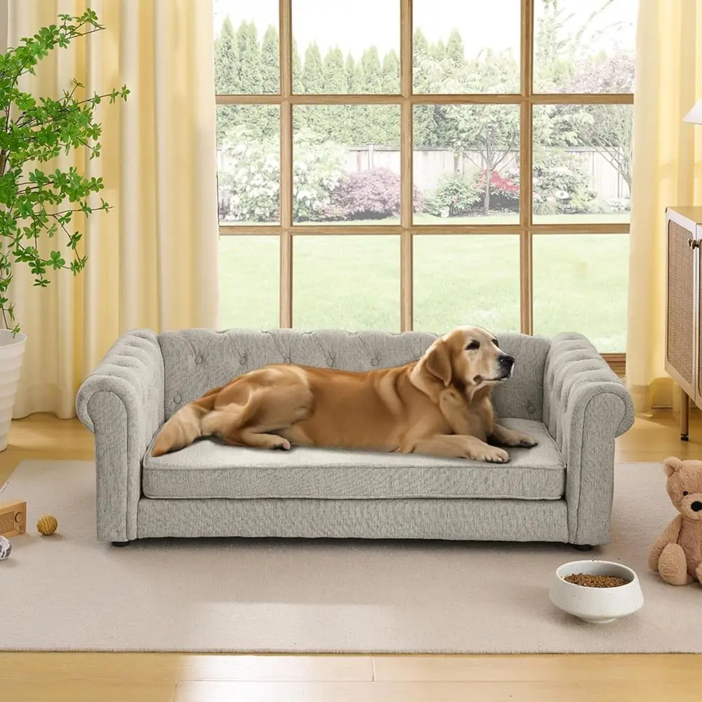 Elevated Memory Foam Dog Bed, Washable Cover, Durable Pet Sofa for Medium to Large Dogs, Beige
Elevated Memory Foam Dog Bed, Washable Cover, Durable Pet Sofa for Medium to Large Dogs, Beige