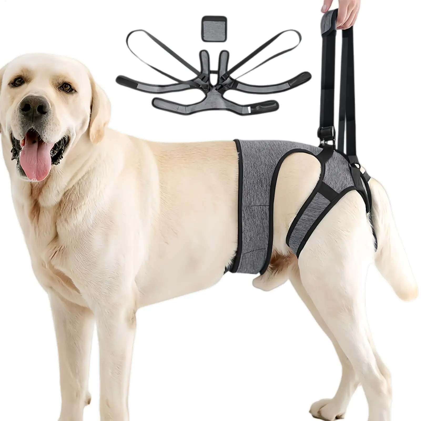Подъемник для собак Регулируемый эластичный быстросъемный переносной шлейка для подъема собаки для задних ног для домашних животных Прогулка в помещении Ветеринар Визит Автомобиль
Подъемник для собак Регулируемый эластичный быстросъемный переносной шлейка для подъема собаки для задних ног для домашних животных Прогулка в помещении Ветеринар Визит Автомобиль