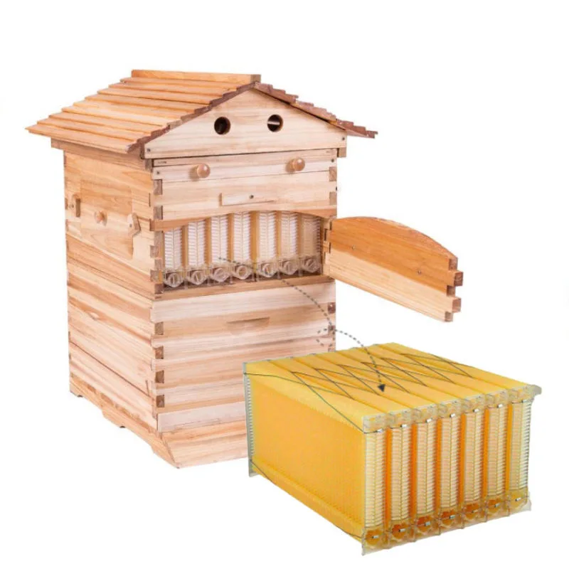 Wholesale Full Set Automatic Flowing Honey Bee Hives, 7 Frames Auto Flow Beehive, Complete Beekeeping Supplies
Wholesale Full Set Automatic Flowing Honey Bee Hives, 7 Frames Auto Flow Beehive, Complete Beekeeping Supplies